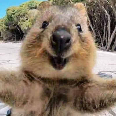 esperanza님의 프로필 사진