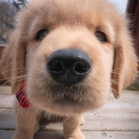 김연정님의 프로필 사진