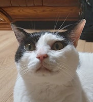 profile picture profile picture