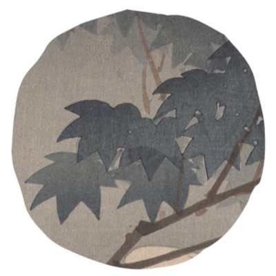 재욱님의 프로필 사진