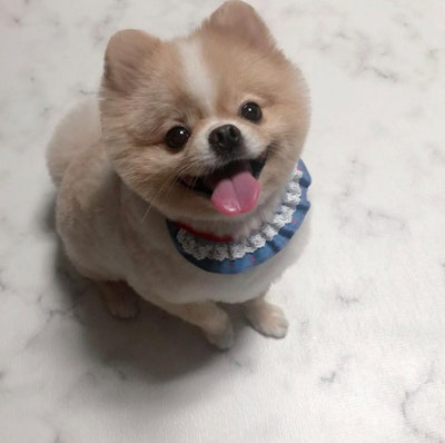 프로필 이미지