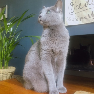 yunnew님의 프로필 사진