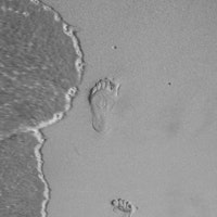 Lee공룡님의 프로필 사진 Lee공룡님의 프로필 사진
