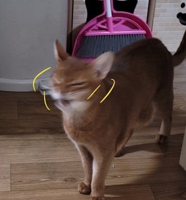 프로필 이미지