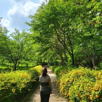 프로필 이미지