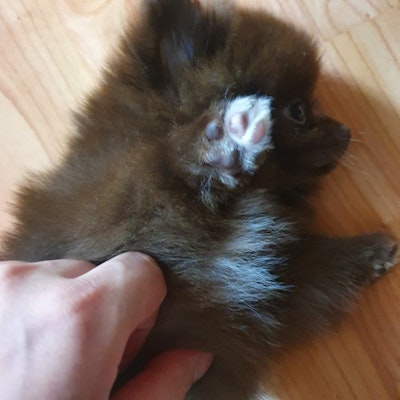 프로필 이미지