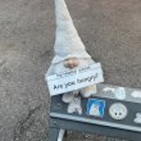 profile picture profile picture