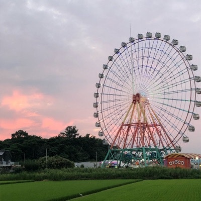 프로필 이미지