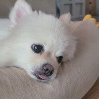 profile picture profile picture