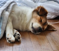 profile picture profile picture