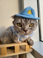 profile picture profile picture