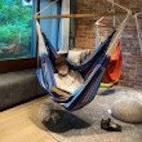 profile picture profile picture