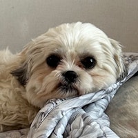 profile picture profile picture