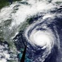 profile picture profile picture