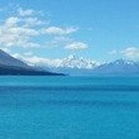 profile picture profile picture