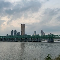 profile picture profile picture