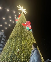 profile picture profile picture