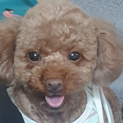 프로필 이미지