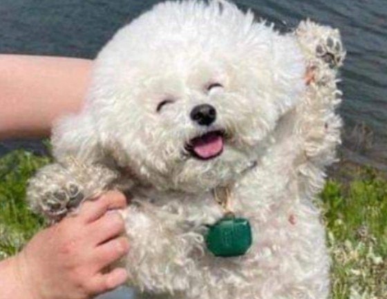 상현님의 프로필 사진