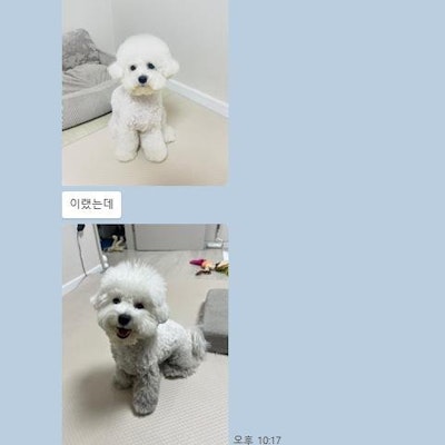 프로필 이미지