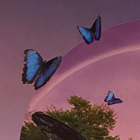 이핀님의 프로필 사진